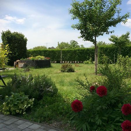 Die Ferienwohnung - Wittenberg An Den Elbwiesen Buitenkant foto